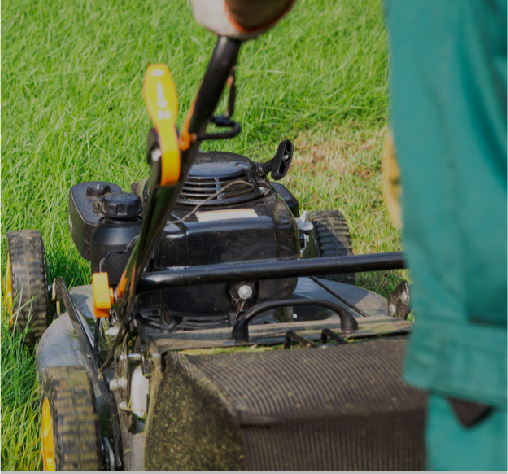 Lawn & Garden